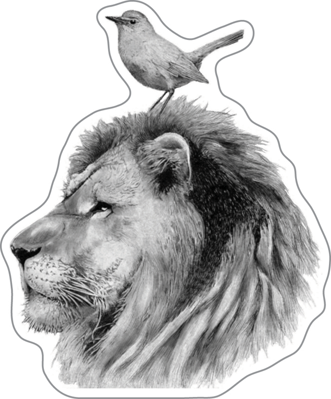 Cat-n-Bird Winery logo